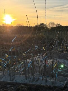 La jauge se remplit, doucement mais sûrement… 