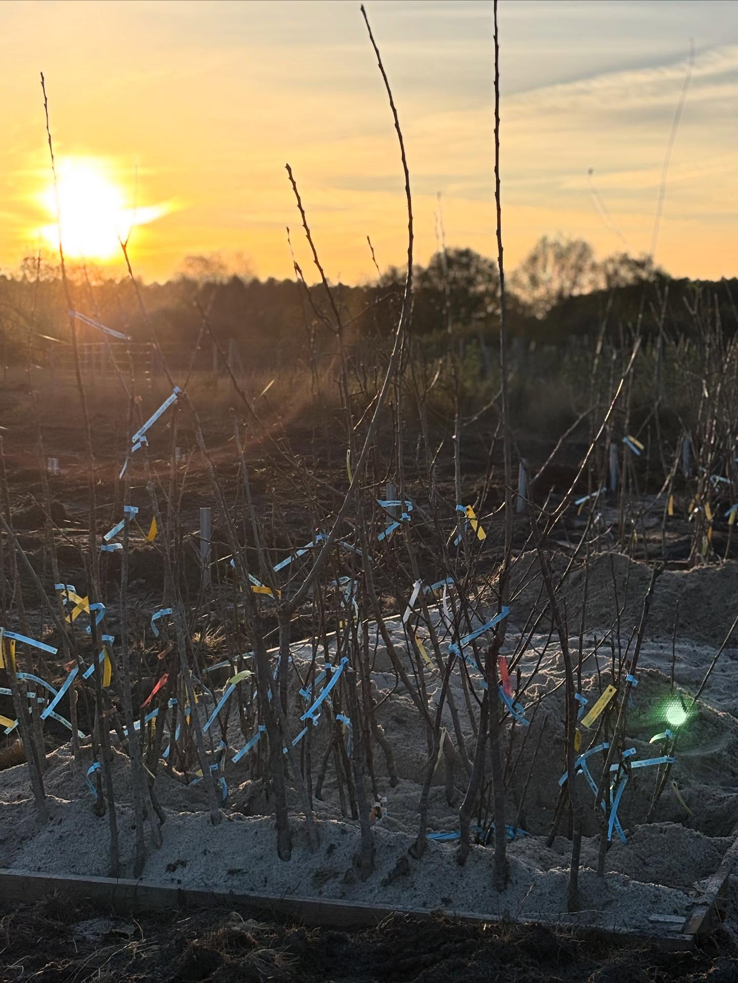La jauge se remplit, doucement mais sûrement… 