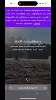 Ça y est, la boutique en ligne est ouverte ! Vous pouvez dès à présent réserver les plants en racines nues (disponibles à partir du 1er décembre) et en pots (disponibles dès maintenant sauf mention contraire sur la fiche produit) 🌱
Il est possible qu’il y ait encore quelques bugs, n’hésitez pas à me les remonter si c’est le cas ! Selon la taille de votre fenêtre, les pages Panier et Validation de commande s’affichent un peu bizarrement : il suffit d’ajuster la largeur de la fenêtre pour que ça apparaisse correctement ^^’
#pepinierefruitiere #pepiniere2.0 #medoc #verger #foretcomestible #permaculture #agriculturepaysanne #agriculturebiologique #jardinforet #autonomiealimentaire