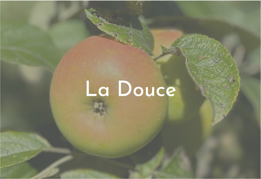 Pomme La Douce