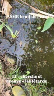 Petite pause détente avant de reprendre la plantation 💧 🐸