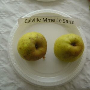 Malus domestica Calville Mme Lesans