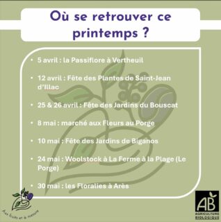 🙈 petite erreur & nouvelle date 📅
Petite erreur sur le dernier partage des foires du printemps : la foire de la Passiflore à Vertheuil a lieu le dimanche 5 avril et non le 6 ! Un superbe lieu pour une superbe fête des plantes 🌱 on s’y retrouve dimanche !
📆 Ajout également d’une date : le 8 mai au vide grenier du Porge, un très chouette événement à ne pas manquer !
#consommerlocal #permaculture #jardinforet #foretcomestible #agroecologie